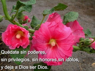 Quédate sin poderes,  sin privilegios, sin honores,sin ídolos,  y deja a Dios ser Dios.                                 