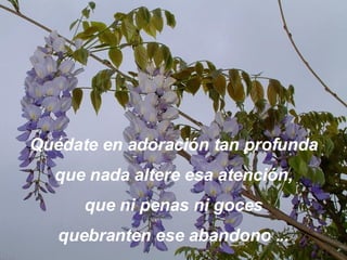Quédate en adoración tan profund a que nada altere esa atención, que ni penas ni goces quebranten ese abandono ... 