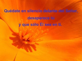 Quédate en silencio delante del Señor, desaparece tú y que sólo Él sea en ti.   