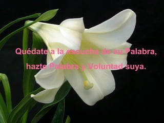 Quédate a la escucha de su Palabra,  hazte Palabra y Voluntad suya. 