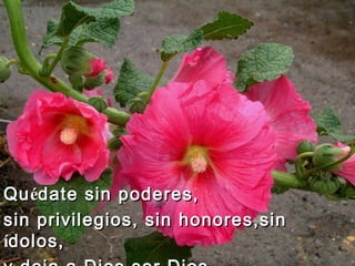Qu é date sin poderes,  sin privilegios, sin honores,sin  í dolos,  y deja a Dios ser Dios.                                 