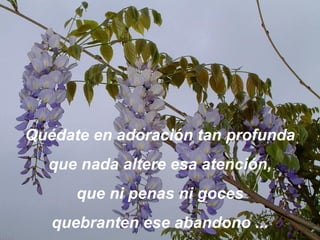 Quédate en adoración tan profund a que nada altere esa atención, que ni penas ni goces quebranten ese abandono ... 