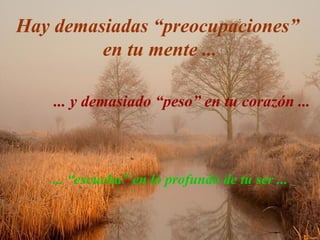 Hay demasiadas “preocupaciones”  en tu mente ... ... y demasiado “peso” en tu corazón ... ... “escucha” en lo profundo de tu ser ...  