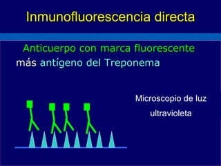 Inmunofluorescencia directa Anticuerpo con marca fluorescente  más   antígeno del Treponema   Microscopio de luz ultravioleta 