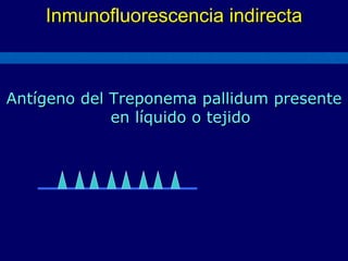 Inmunofluorescencia indirecta Antígeno del Treponema pallidum presente en líquido o tejido 