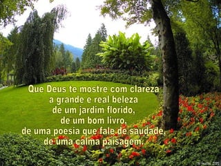 Que Deus te mostre com clareza a grande e real beleza de um jardim florido, de um bom livro, de uma poesia que fale de saudade, de uma calma paisagem. 