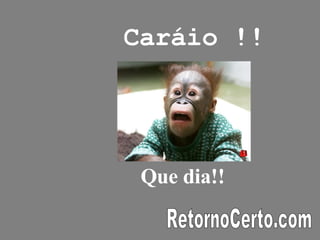 Caráio !! Que dia!! RetornoCerto.com 