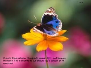 Cuando llegó su turno, el segundo alumno dijo: - Yo traje esta mariposa. Vea el colorido de sus alas; la voy a colocar en mi colección.  VMGR 