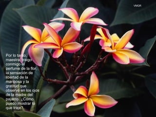 Por lo tanto, maestra, traigo conmigo el perfume de la flor, la sensación de libertad de la mariposa y la gratitud que observé en los ojos de la madre del pajarito. ¿Cómo puedo mostrar lo que traje?.  VMGR 
