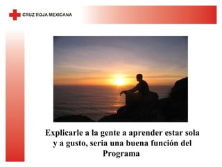 Explicarle a la gente a aprender estar sola y a gusto, seria una buena función del Programa  