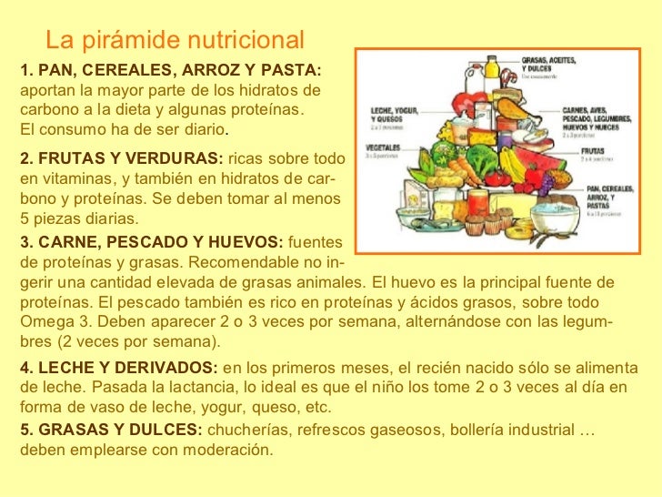 Que es la alimentacion Que es la alimentacion