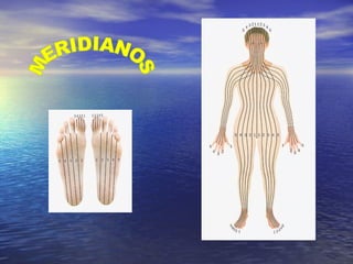 MERIDIANOS 