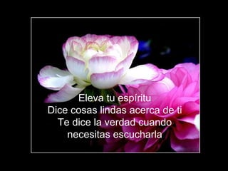 Eleva tu espíritu Dice cosas lindas acerca de ti Te dice la verdad cuando necesitas escucharla 