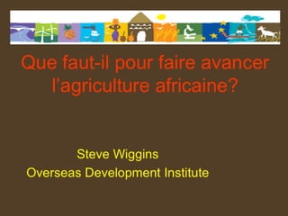 Que faut-il pour faire avancer l'agriculture africaine?