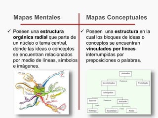  Poseen una estructura
orgánica radial que parte de
un núcleo o tema central,
donde las ideas o conceptos
se encuentran relacionados
por medio de líneas, símbolos
e imágenes.
 Poseen una estructura en la
cual los bloques de ideas o
conceptos se encuentran
vinculados por líneas
interrumpidas por
preposiciones o palabras.
Mapas Mentales Mapas Conceptuales
 