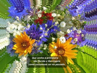 Que venha a primavera tão florida e tão singela como costumava ser no passado.