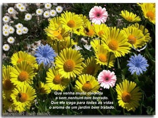 Que venha muito colorida e sem nenhum tom borrado. Que ela traga para todas as vidas o aroma de um jardim bem tratado.