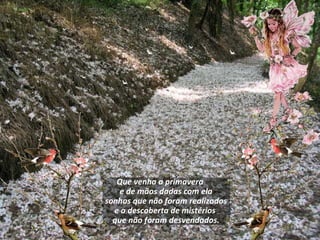 Que venha a primavera e de mãos dadas com ela sonhos que não foram realizados e a descoberta de mistérios que não foram desvendados.