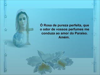 Ó Rosa de pureza perfeita, que o odor de vossos perfumes me conduza ao amor do Paraíso. Amém.  