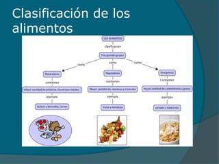 Clasificación de los
alimentos
 