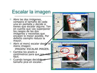 Escalar la imagen Abre las dos imágenes, compara el tamaño de cada una en pantalla y decide si tienes que escalar alguna. Ten en cuenta que vas superponer los rasgos de las dos imágenes y necesitas que encajen lo mejor posible. Por defecto siempre reduce la mayor. Abrir el menú escalar desde el menú imagen: IMAGEN/ ESCALAR iMAGEN. Cambia los pixels a centímetros para que sea más fácil.  Cuando tengas decidido el tamaño pica en escalar. 