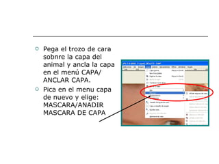 Pega el trozo de cara sobnre la capa del animal y ancla la capa en el menú CAPA/ ANCLAR CAPA. Pica en el menu capa de nuevo y elige: MASCARA/ANADIR MASCARA DE CAPA 