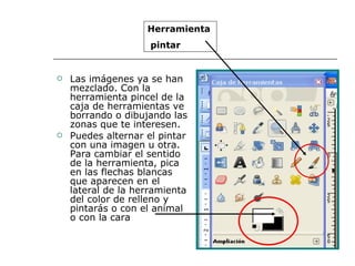 Las imágenes ya se han mezclado. Con la herramienta pincel de la caja de herramientas ve borrando o dibujando las zonas que te interesen. Puedes alternar el pintar con una imagen u otra. Para cambiar el sentido de la herramienta, pica en las flechas blancas que aparecen en el lateral de la herramienta del color de relleno y pintarás o con el animal o con la cara Herramienta pintar 
