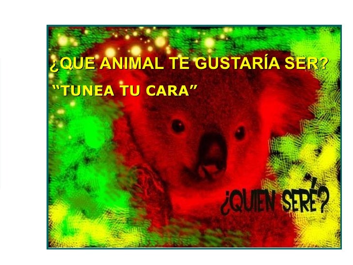 Que Animal Te Gustaria Ser Psicotecnico