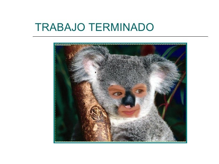 Que Animal Te Gustaria Ser Psicotecnico