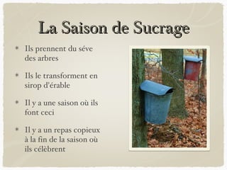 La Saison de Sucrage
Ils prennent du séve
des arbres

Ils le transforment en
sirop d'érable

Il y a une saison où ils
font ceci

Il y a un repas copieux
à la fin de la saison où
ils célèbrent
 