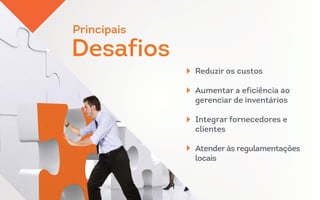 Reduzir os custos
Aumentar a eficiência ao
gerenciar de inventários
Integrar fornecedores e
clientes
Atender às regulamentações
locais
Principais
Desafios
Principais
Desafios
 