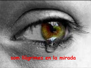som llàgrimes en la mirada