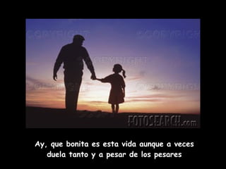 Ay, que bonita es esta vida aunque a veces duela tanto y a pesar de los pesares 