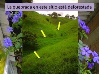 La quebrada en este sitio está deforestada