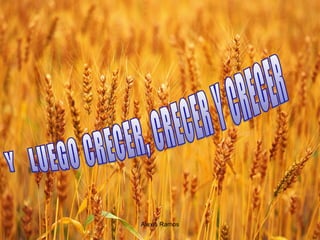 Alexis Ramos Y  LUEGO CRECER, CRECER Y CRECER 