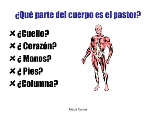 ¿Qué parte del cuerpo es el pastor? ¿ Cuello? ¿  Corazón? ¿  Manos? ¿  Pies? ¿ Columna ? Alexis Ramos 
