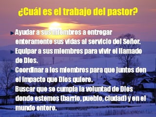 ¿Cuál es el trabajo del pastor? Alexis Ramos 