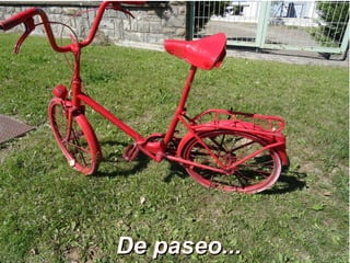 De paseo...De paseo...
 