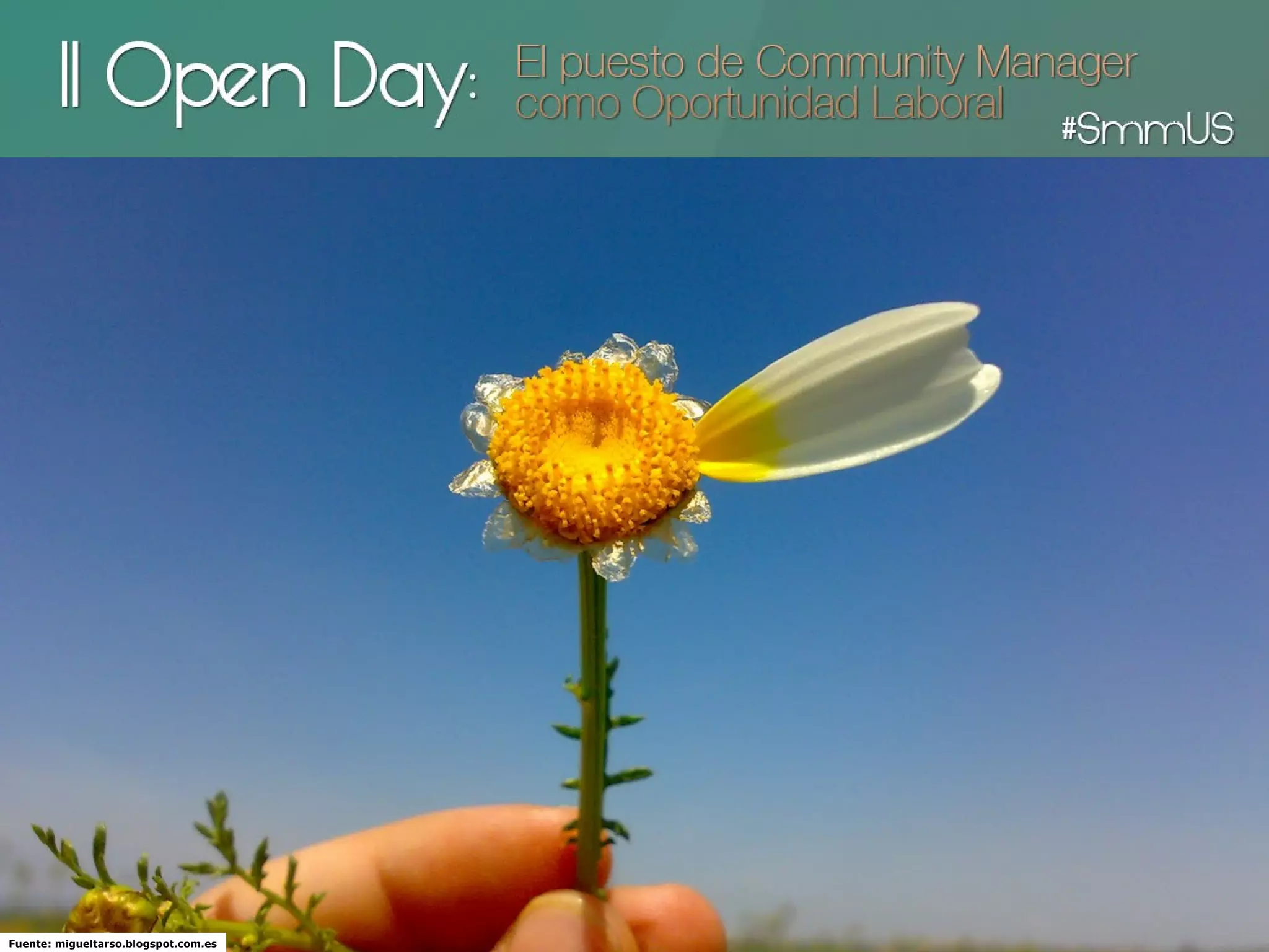 Fuente: migueltarso.blogspot.com.es
 