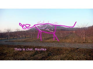 Que cache ce paysage