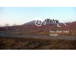 Que cache ce paysage