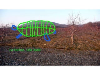 Que cache ce paysage