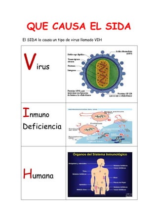 QUE CAUSA EL SIDA
El SIDA lo causa un tipo de virus llamado VIH




V      irus




Inmuno
Deficiencia




Humana
 