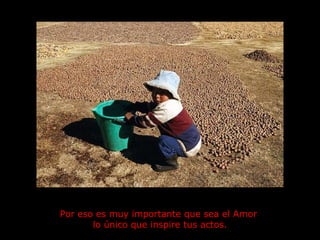 Por eso es muy importante que sea el Amor  lo único que inspire tus actos. 