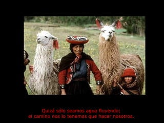 Quizá sólo seamos agua fluyendo;  el camino nos lo tenemos que hacer nosotros.   