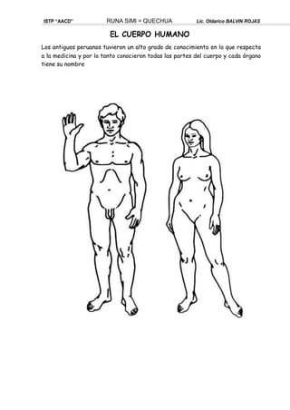 ISTP “AACD” RUNA SIMI = QUECHUA Lic. Oldarico BALVIN ROJAS
EL CUERPO HUMANO
Los antiguos peruanos tuvieron un alto grado de conocimiento en lo que respecta
a la medicina y por lo tanto conocieron todas las partes del cuerpo y cada órgano
tiene su nombre
 