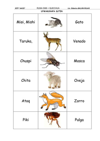 UYWAKUNAPA SUTIN
ISTP “AACD” RUNA SIMI = QUECHUA Lic. Oldarico BALVIN ROJAS
Misi, Mishi Gato
Taruka, Venado
Chuspi Mosca
Chita Oveja
Atoq Zorro
Piki Pulga
 