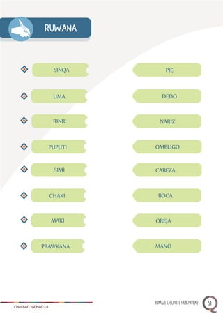 RUWANA
SINQA
DEDO
PIE
OMBLIGO
NARIZ
BOCA
CABEZA
MANO
OREJA
UMA
RINRI
PUPUTI
SIMI
CHAKI
MAKI
PRAWKANA
CHAYRAQ YACHAQ I-II
KIMSA CHUNKA HUKNIYUQ 31
 