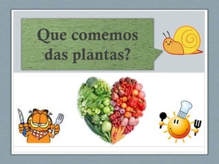 Que comemos
das plantas?
 