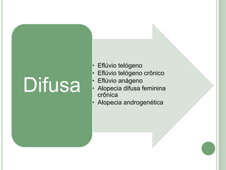 drogas antilipêmicas;